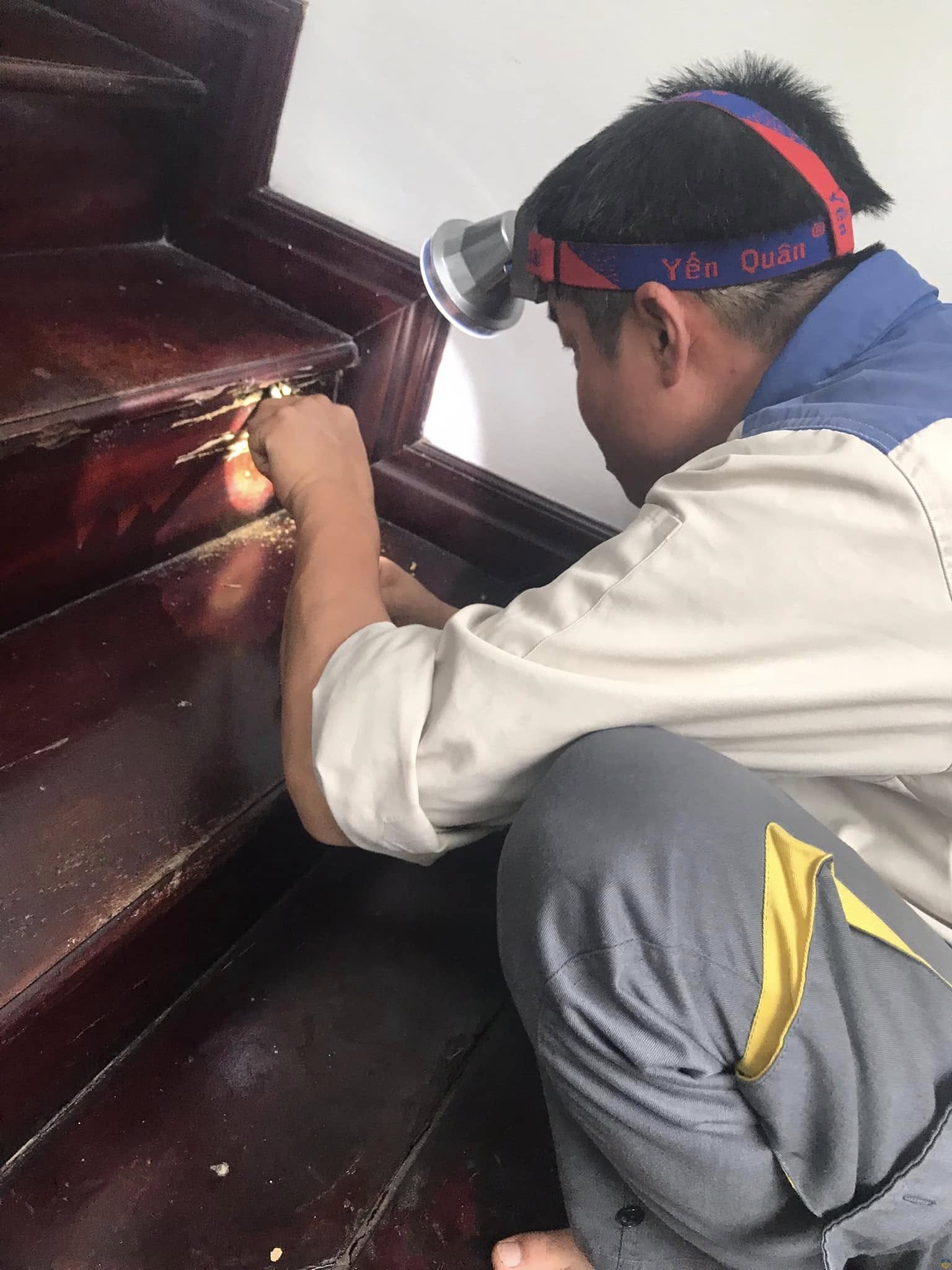 Kiểm tra mối ở cầu thang