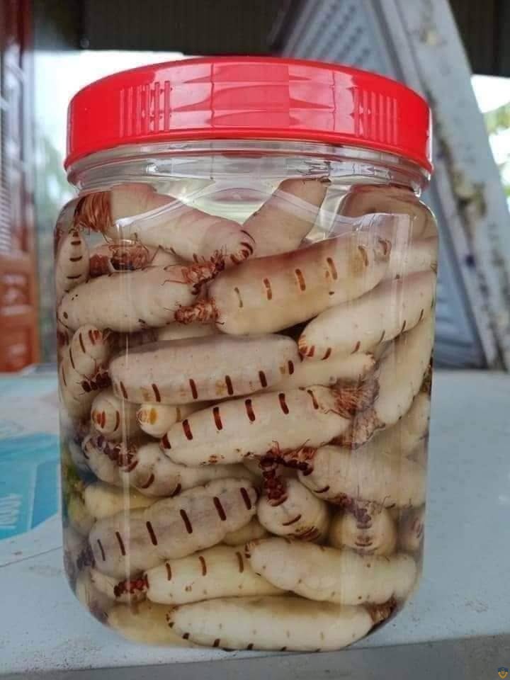 Bắt được nhiều mối chúa
