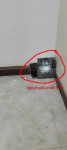 Không đụng vào hộp nhử mối
