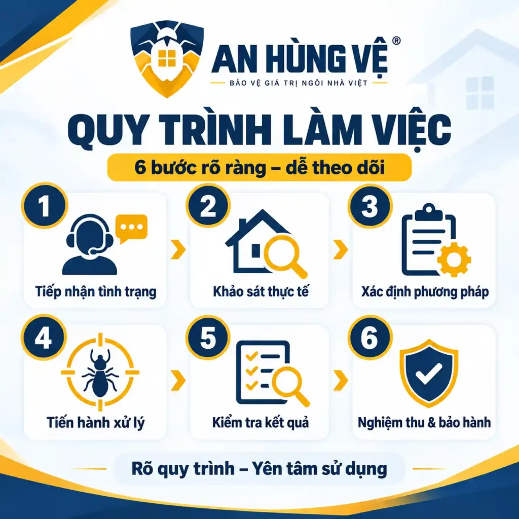Quy trình diệt mối 6 bước