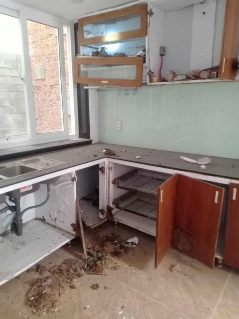 Mối ăn hư tủ bếp trên bếp dưới