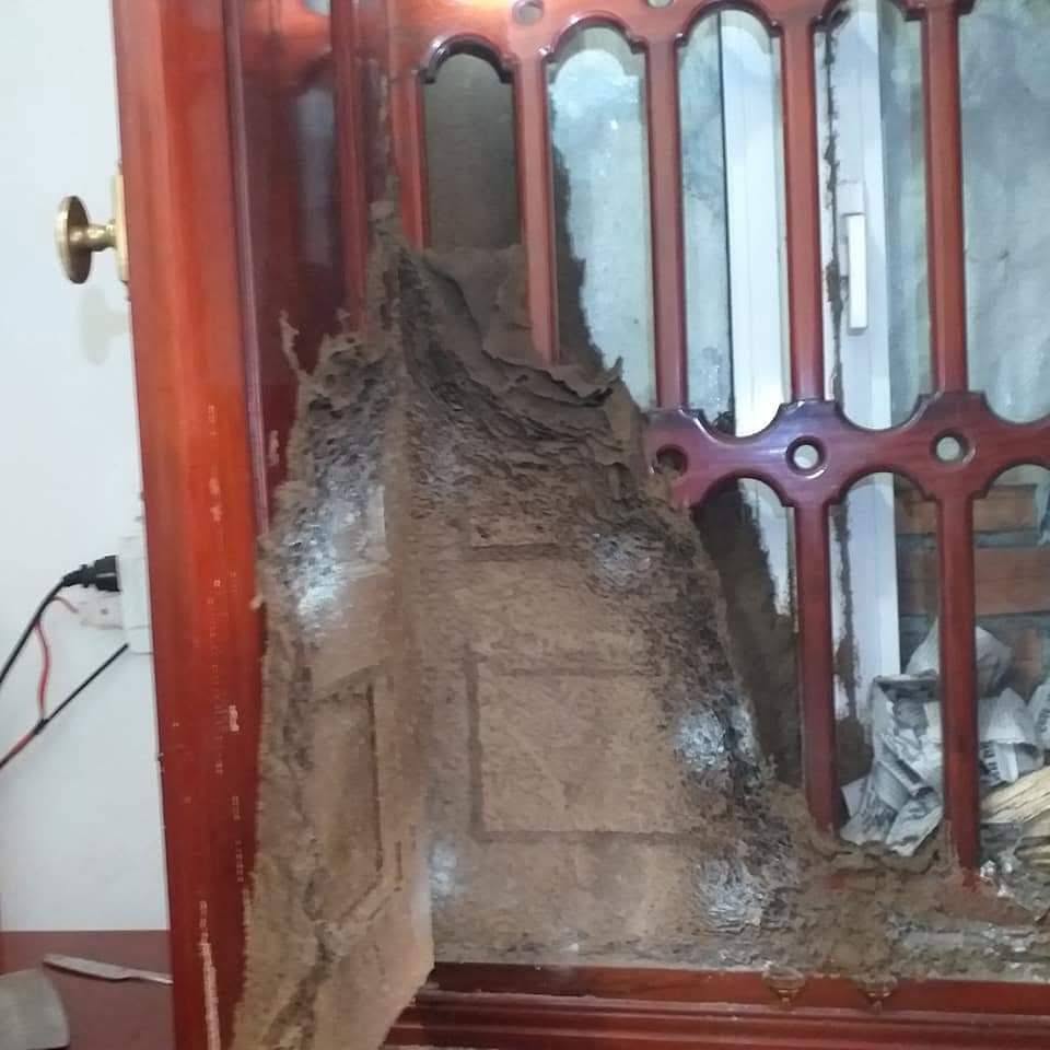 Đường đất và phần tổ mối phủ bên trong cánh cửa gỗ nhà phố