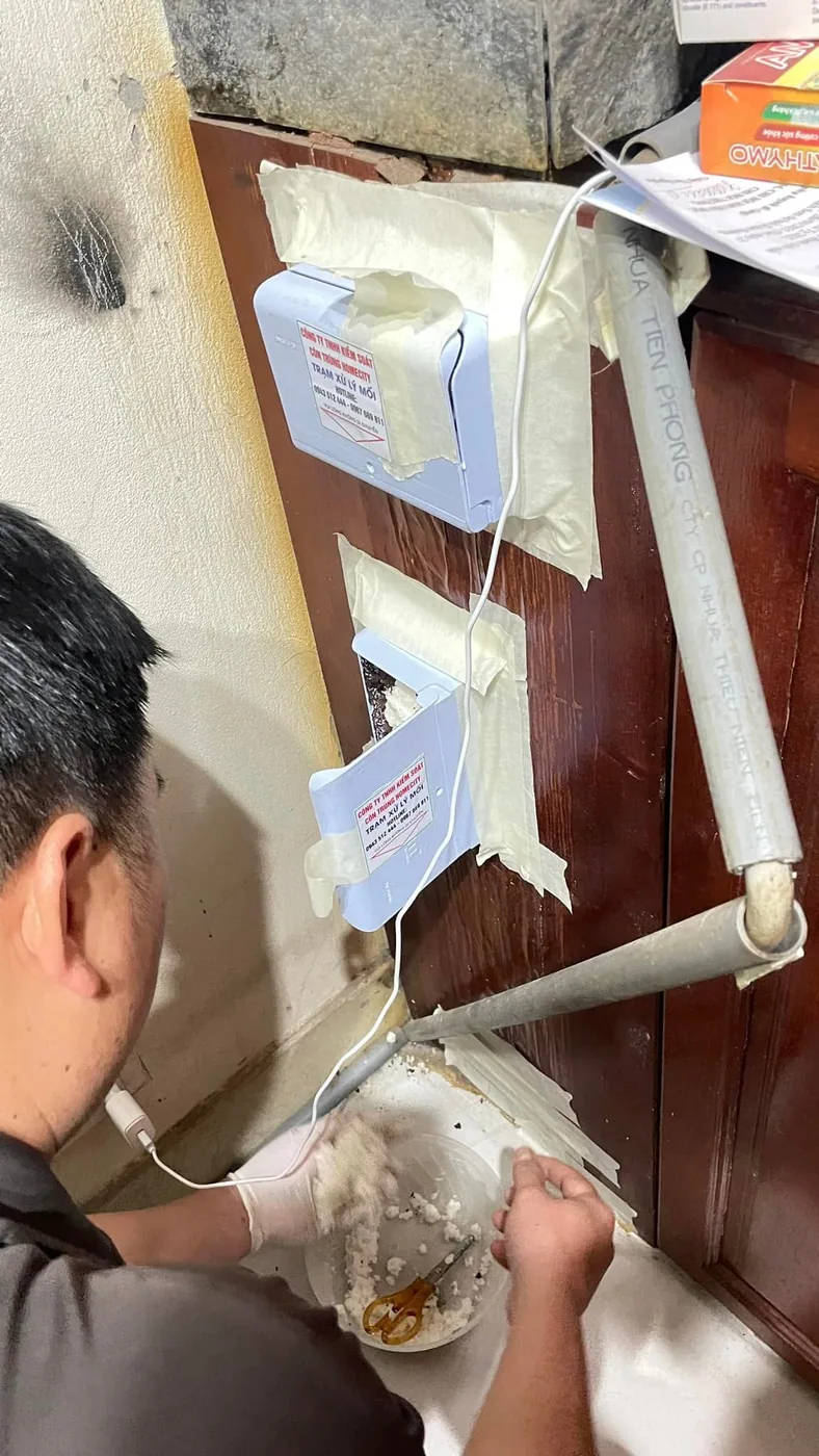 Kỹ thuật viên đang lắp trạm bả Xterm lên kết cấu gỗ tại điểm mối hoạt động
