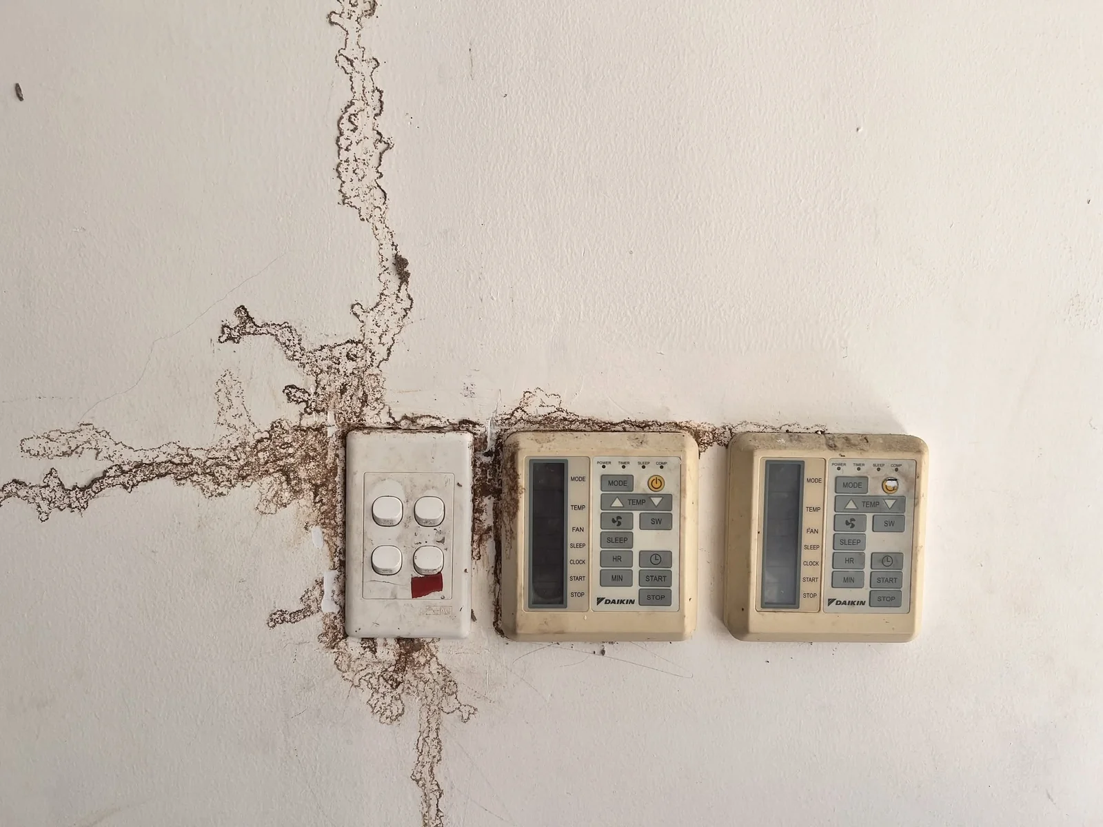 Đường mui mối quanh cụm ổ điện Các nhánh đường mui mối lan quanh cụm công tắc và ổ điện trên tường