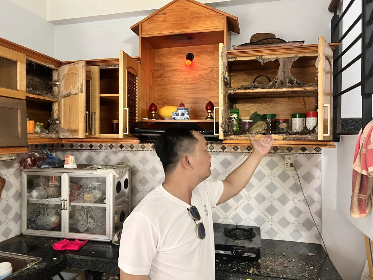 Kiểm tra các khoang tủ bếp trên bị mối ăn tại căn nhà ở Thủ Đức